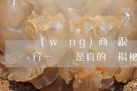 網(wǎng)商貸跟網(wǎng)商銀行一樣嗎是真的嗎，揭秘真相：網(wǎng)商貸和網(wǎng)商銀行是否相同？